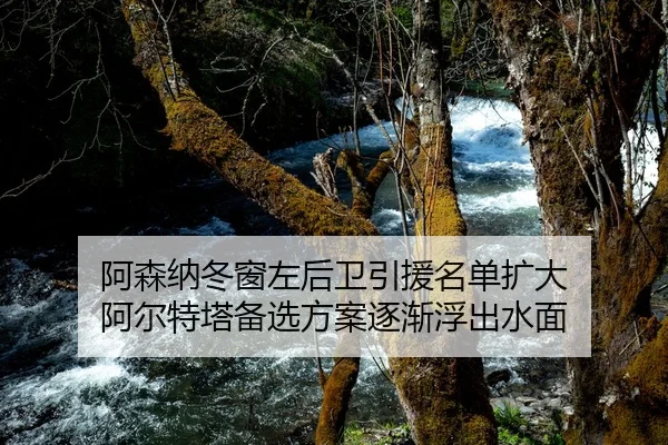 阿森纳冬窗左后卫引援名单扩大 阿尔特塔备选方案逐渐浮出水面
